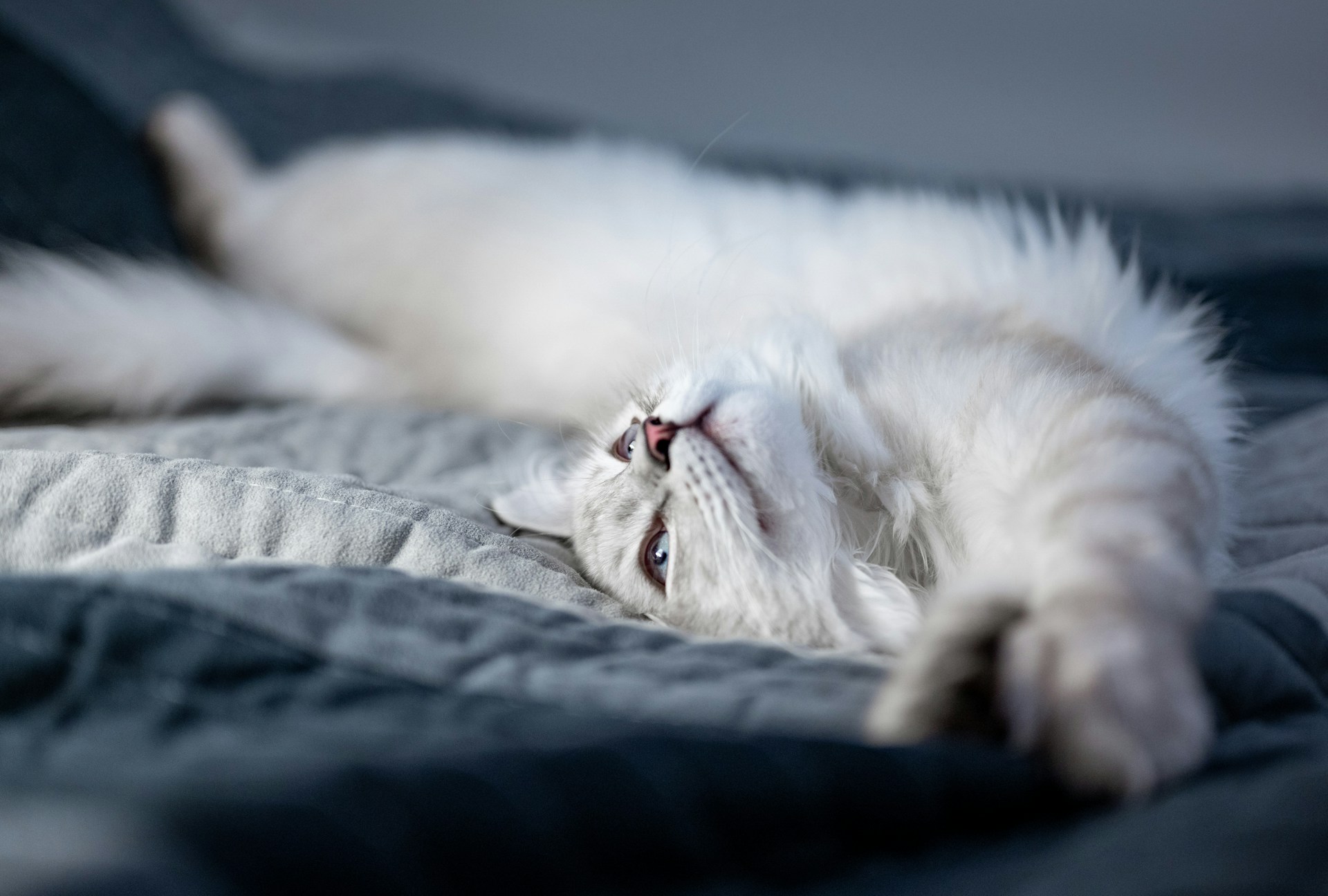 When to Apply to Stretch Roles (and How to Position Yourself)